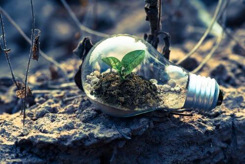 reduce-carbon-emissions